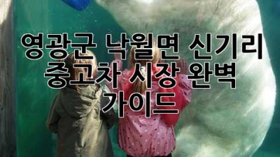 영광군 낙월면 신기리 중고차 시장 완벽 가이드