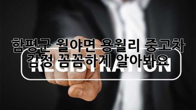 함평군 월야면 용월리 중고차 감정, 꼼꼼하게 알아봐요! 🚗✨