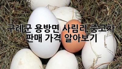 구례군 용방면 사림리 중고차 판매 가격 알아보기